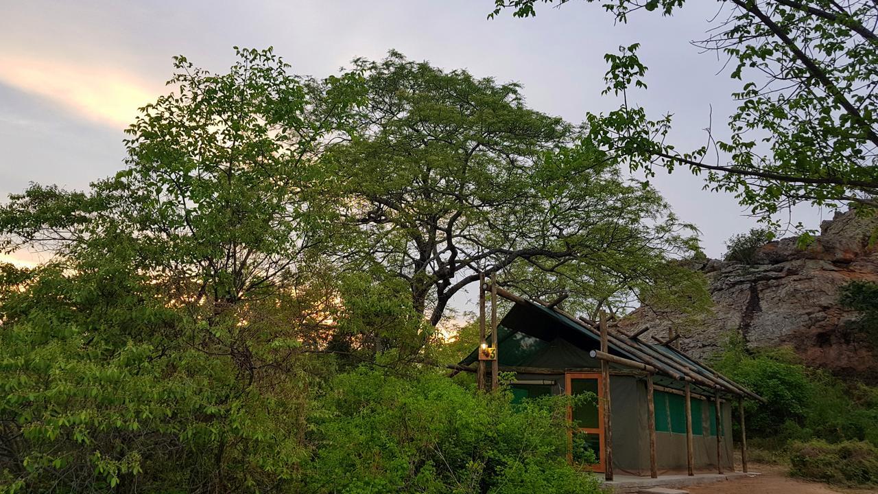 Awelani Lodge Masisi 외부 사진
